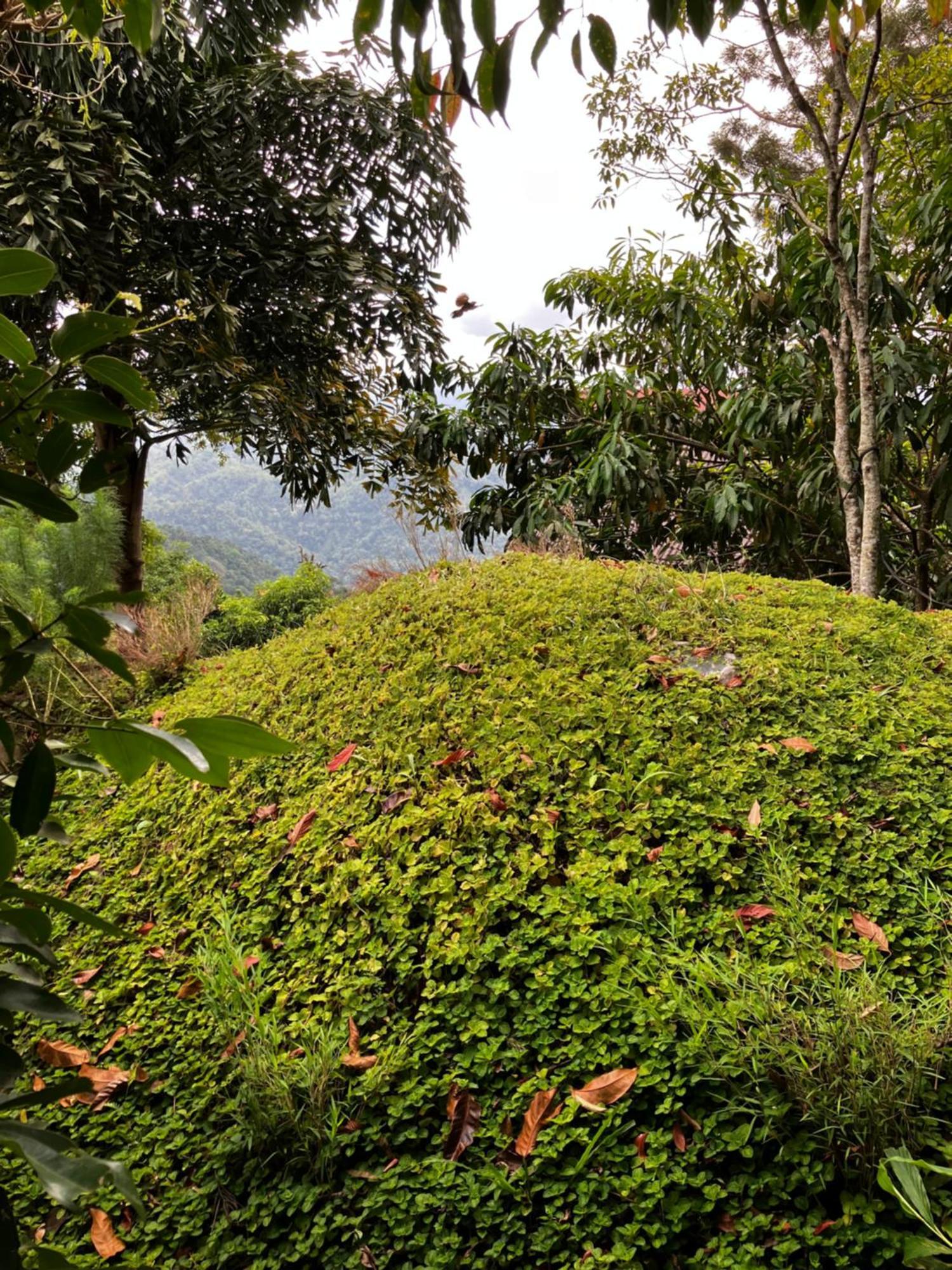 The Cloud Resort Kadugannawa المظهر الخارجي الصورة